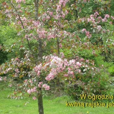 Regionalny Busola Dağ evi Zakopane